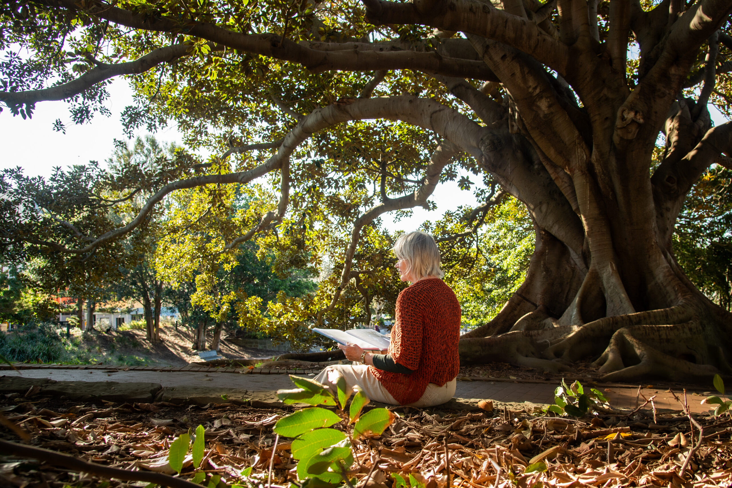 Workshops & Retreats